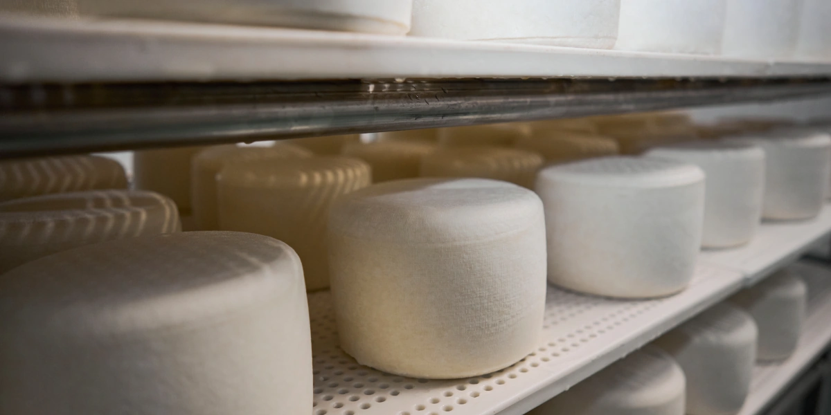 В место тысячи козлов: где и&nbsp;как производят альтернативный адыгейский сыр