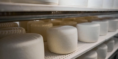 В место тысячи козлов: где и&nbsp;как производят альтернативный адыгейский сыр