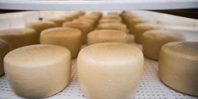 В место тысячи козлов: где и&nbsp;как производят альтернативный адыгейский сыр