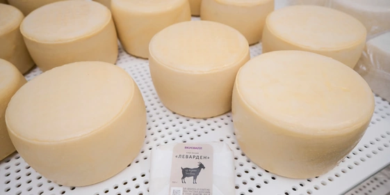 В место тысячи козлов: где и&nbsp;как производят альтернативный адыгейский сыр