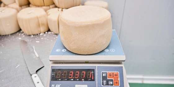 В место тысячи козлов: где и&nbsp;как производят альтернативный адыгейский сыр