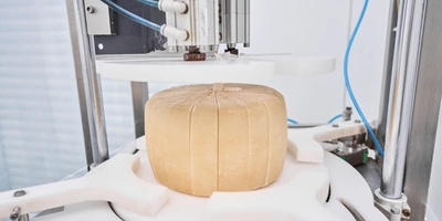 В место тысячи козлов: где и&nbsp;как производят альтернативный адыгейский сыр