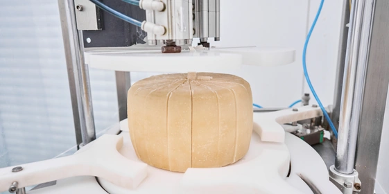 В место тысячи козлов: где и&nbsp;как производят альтернативный адыгейский сыр