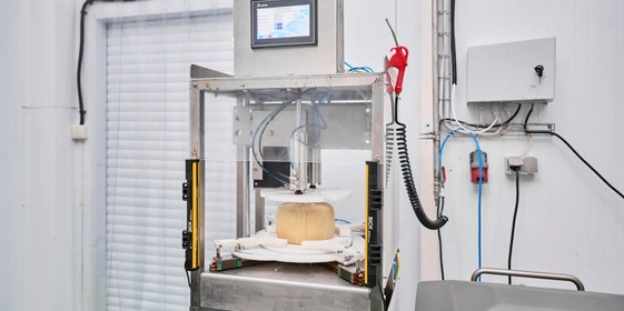 В место тысячи козлов: где и&nbsp;как производят альтернативный адыгейский сыр