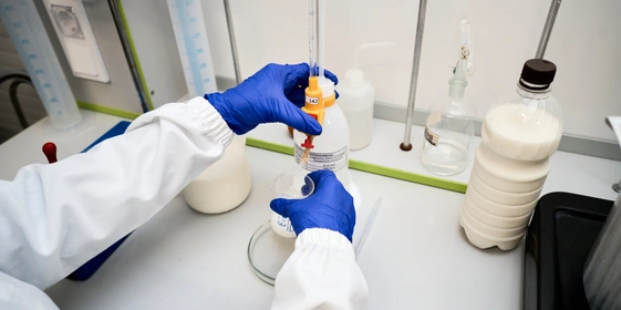 В место тысячи козлов: где и&nbsp;как производят альтернативный адыгейский сыр