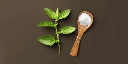 Разбираемся с&nbsp;экспертами: чем полезна и&nbsp;чем опасна может быть стевия