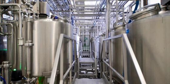 Роботизированные наследники Верещагина: где производят безлактозное масло и&nbsp;моцареллу