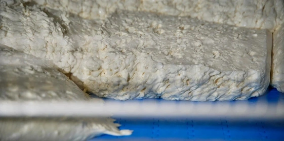 Роботизированные наследники Верещагина: где производят безлактозное масло и&nbsp;моцареллу