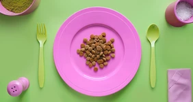 Почему нам хочется есть корм для&nbsp;животных и&nbsp;нормально ли это