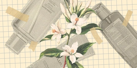 Запах роскоши: как получают дорогие и&nbsp;популярные ароматы для&nbsp;косметики